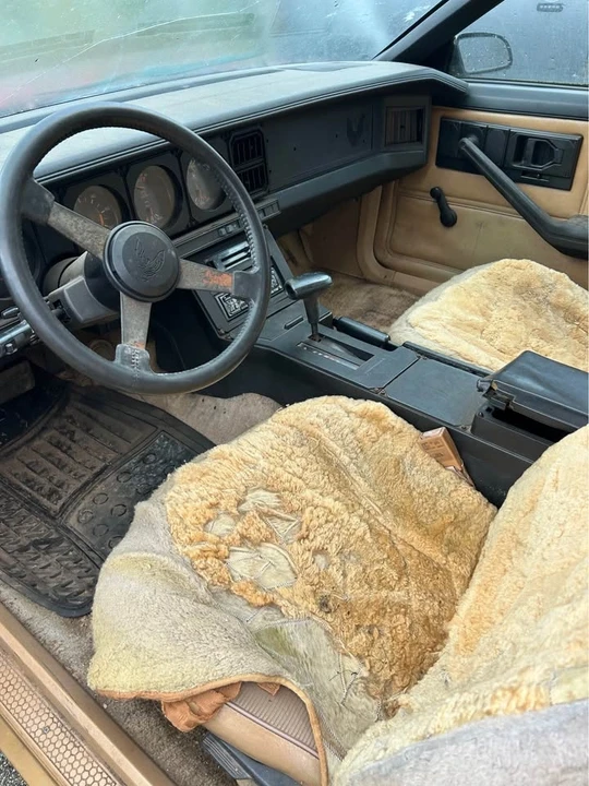 1984 Pontiac Firebird Trans Am 3rd Gen - Image 2 of 9