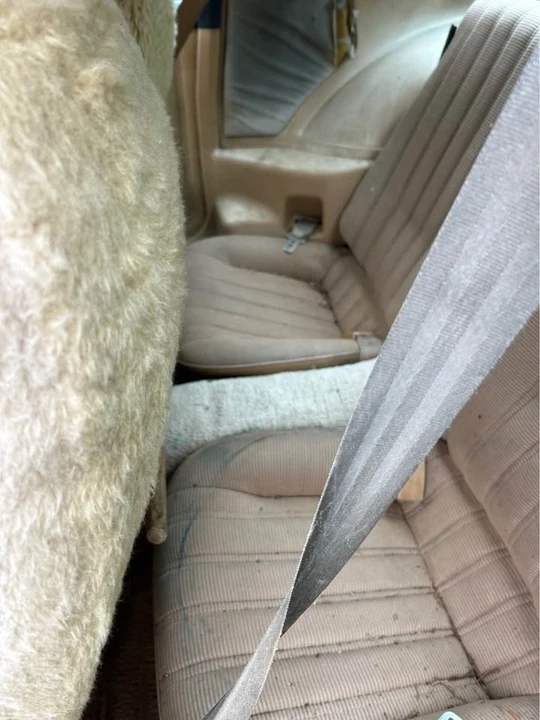 1984 Pontiac Firebird Trans Am 3rd Gen - Image 3 of 9