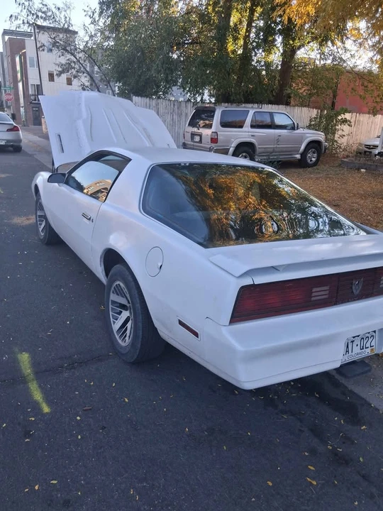 1984 Pontiac Firebird 3rd Gen - Image 9 of 10