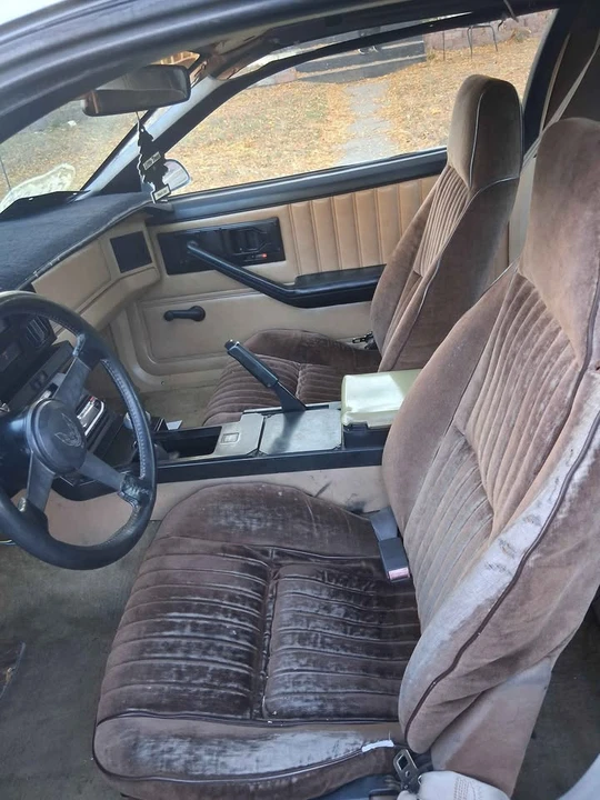 1984 Pontiac Firebird 3rd Gen - Image 2 of 10