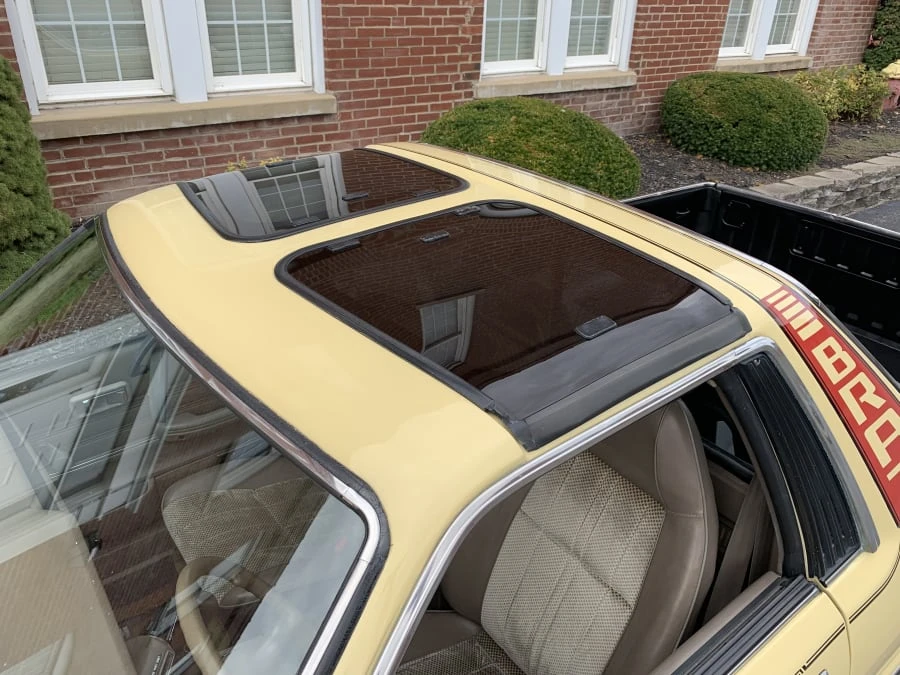 1984 Subaru BRAT 2nd Gen - Image 9 of 10