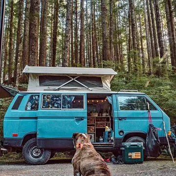 1984 Volkswagen Vanagon Westfalia
