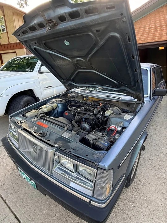 1984 Volvo 244 - Image 8 of 10