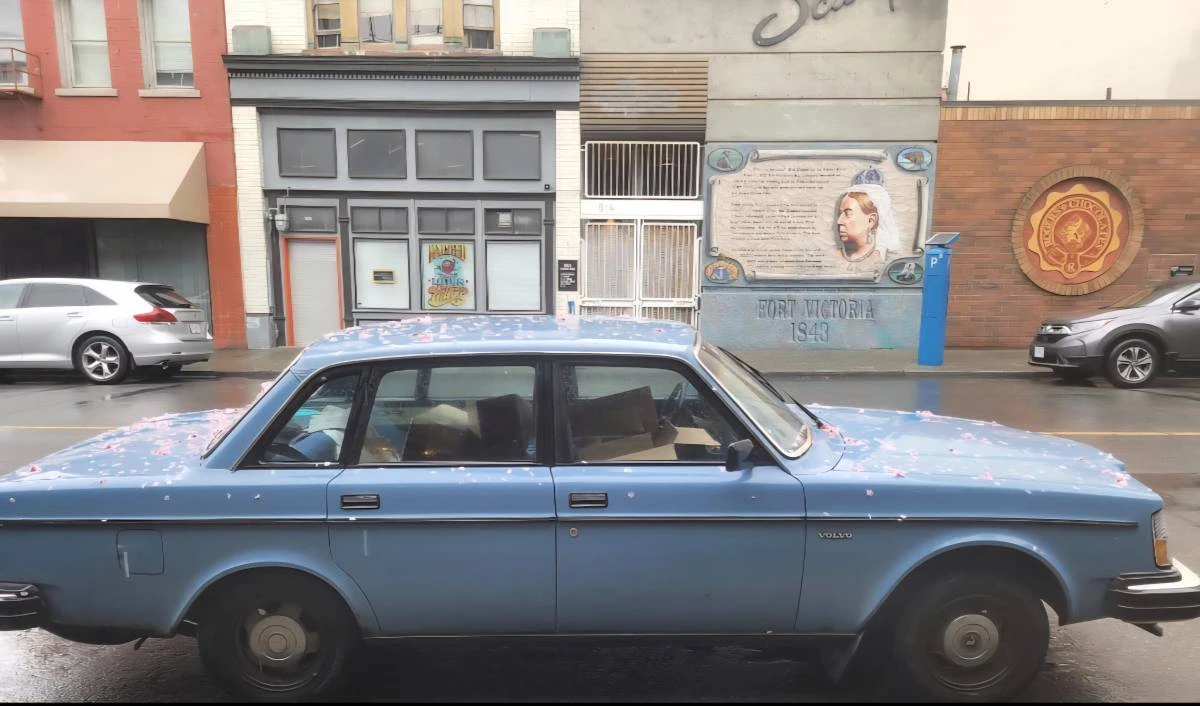 1984 Volvo 242 - Image 10 of 10