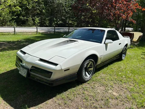 1984 Pontiac Firebird Trans Am