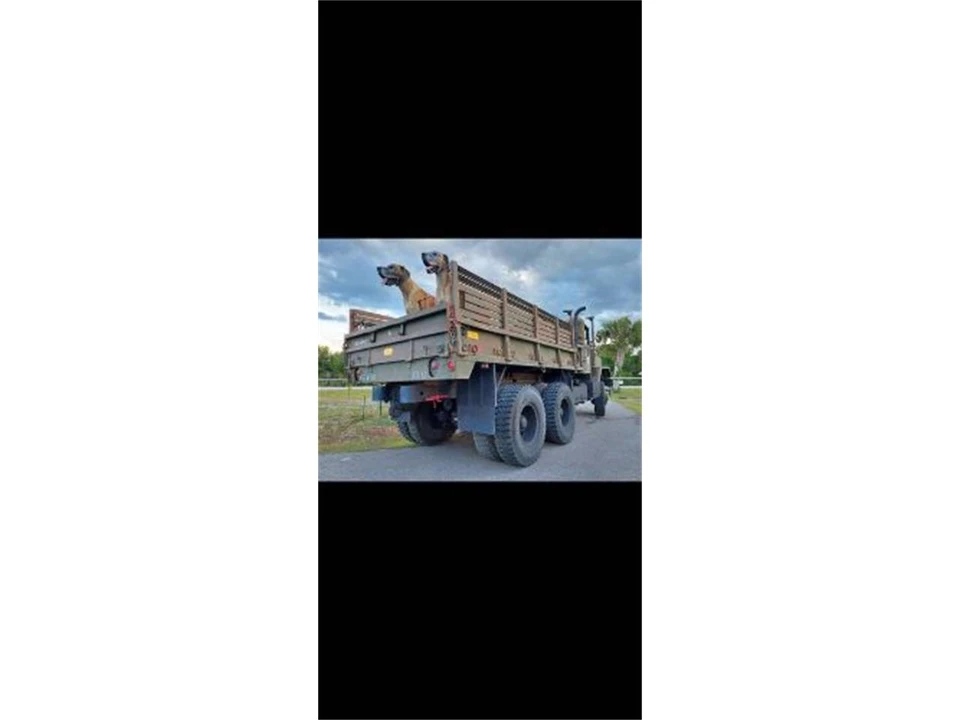 1985 AM General - Image 7 of 12