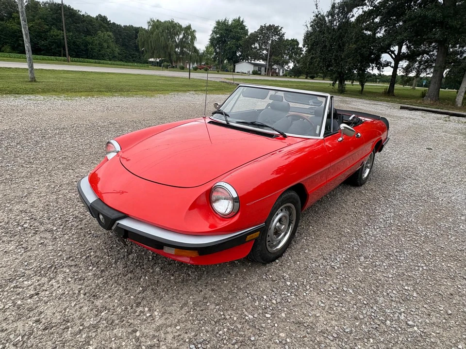 1985 Alfa Romeo Series 3 - Image 12 of 31