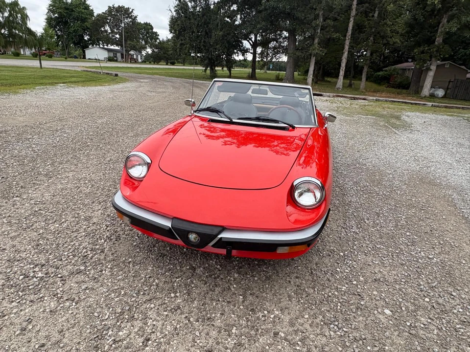 1985 Alfa Romeo Series 3 - Image 13 of 31