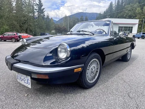 1985 Alfa Romeo Graduate