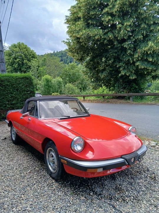1985 Alfa Romeo Series 3 - Image 2 of 31