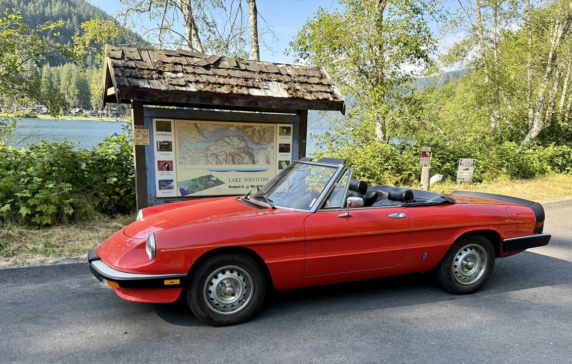 1985 Alfa Romeo Series 3 - Image 12 of 31