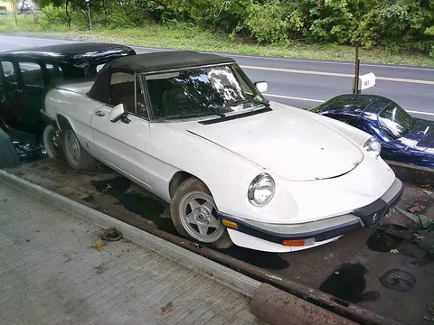 1985 Alfa Romeo Spider