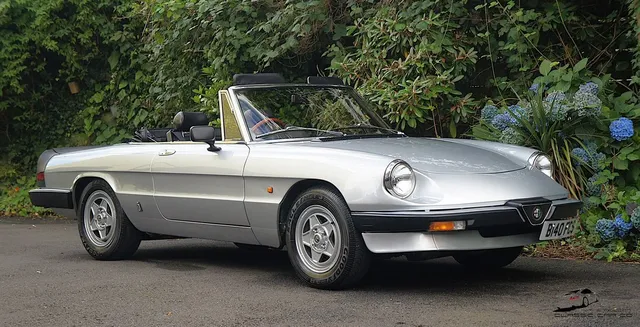 1985 Alfa Romeo Spider Series 3