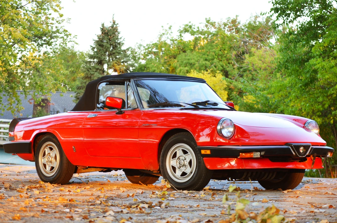 1985 Alfa Romeo Series 3 - Image 14 of 31