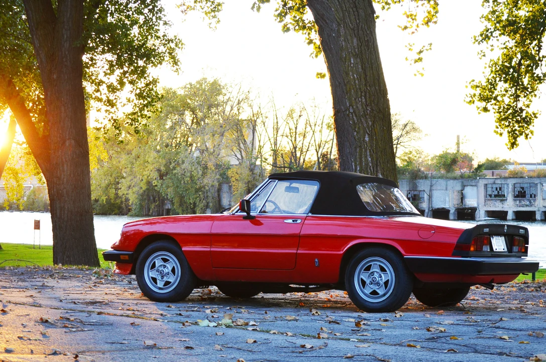1985 Alfa Romeo Series 3 - Image 10 of 31