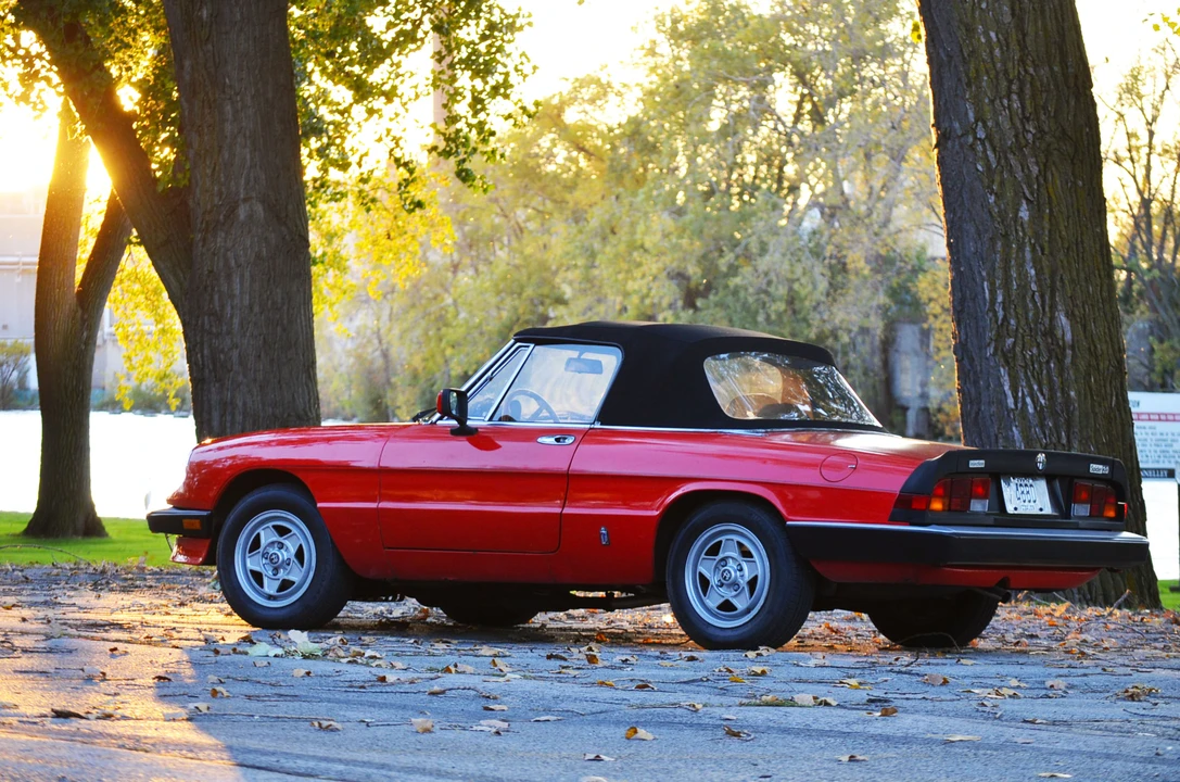 1985 Alfa Romeo Series 3 - Image 9 of 31