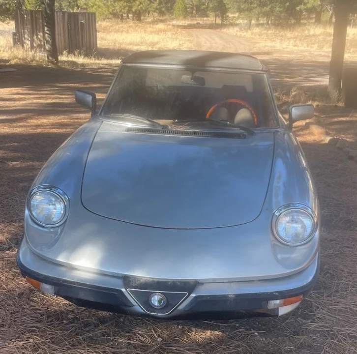 1985 Alfa Romeo Series 3 - Image 10 of 11