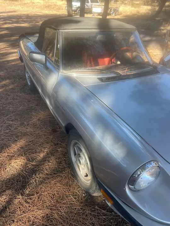 1985 Alfa Romeo Series 3 - Image 11 of 11