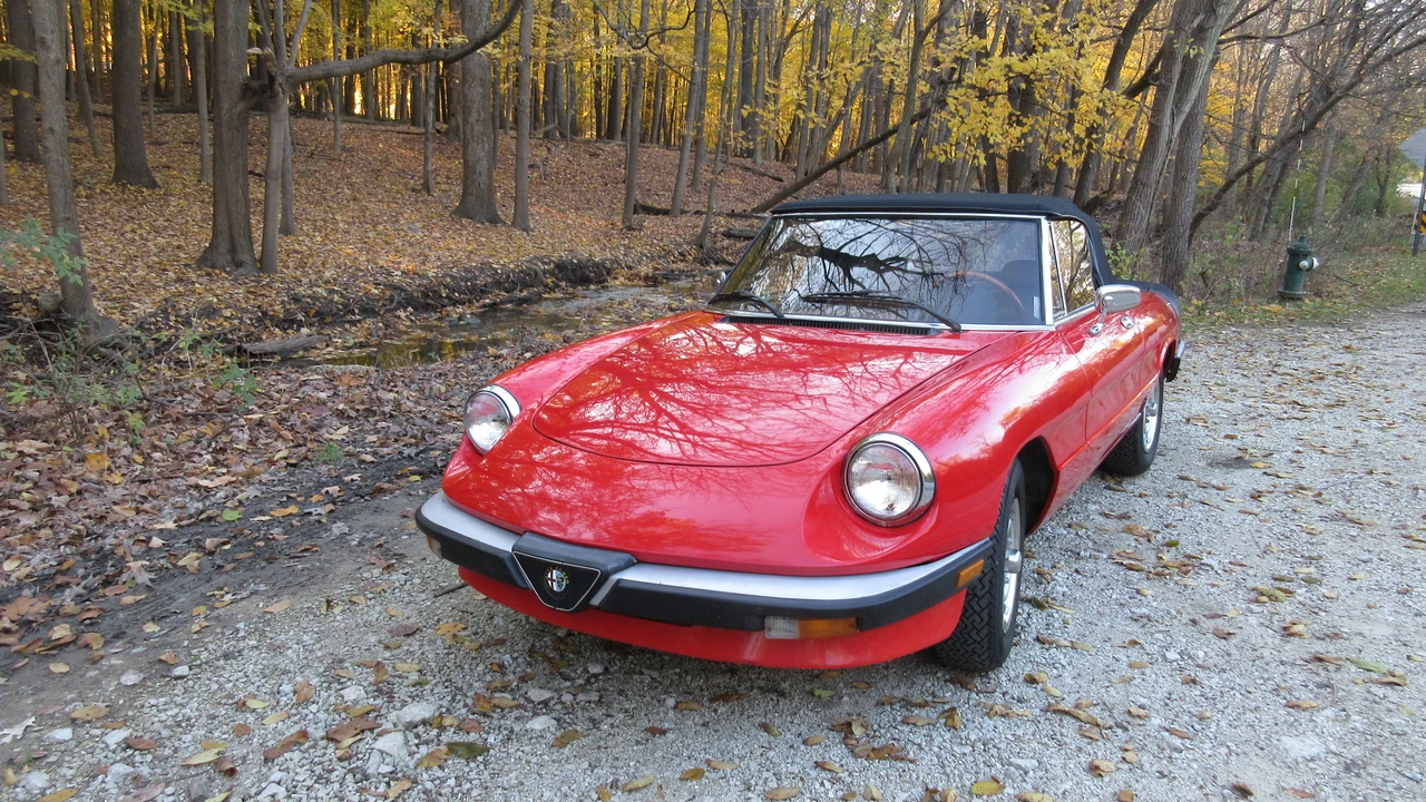 1985 Alfa Romeo Series 3 - Image 10 of 31