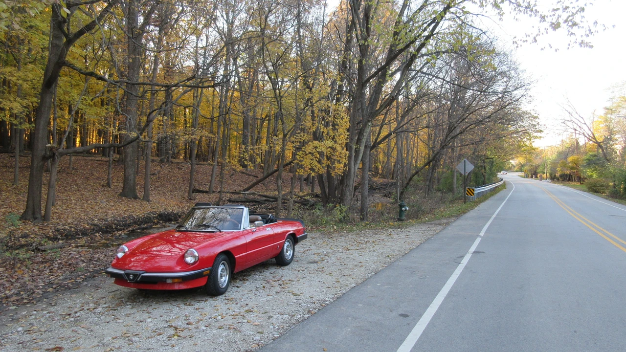 1985 Alfa Romeo Series 3 - Image 4 of 31