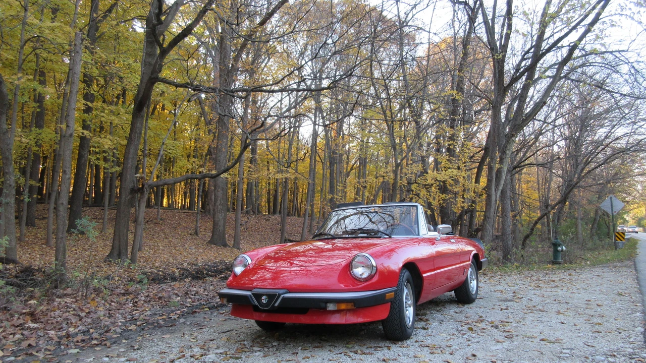 1985 Alfa Romeo Series 3 - Image 3 of 31