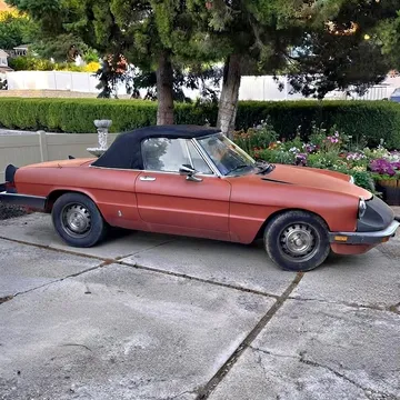 1985 Alfa Romeo Spider