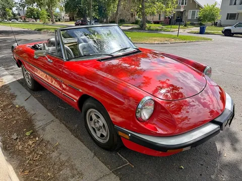 1985 Alfa Romeo Spider