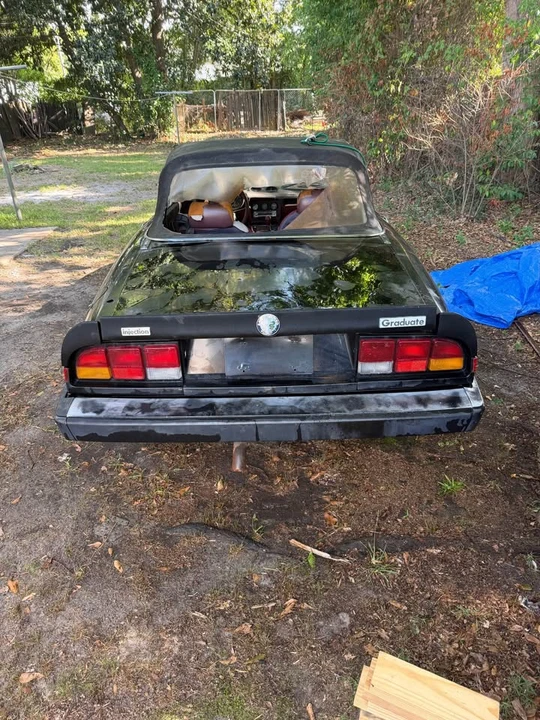1985 Alfa Romeo Series 3 - Image 5 of 20