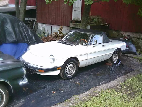 1985 Alfa Romeo Graduate Spider