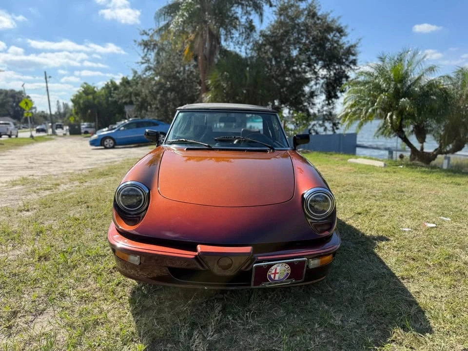1985 Alfa Romeo Series 3 - Image 14 of 20