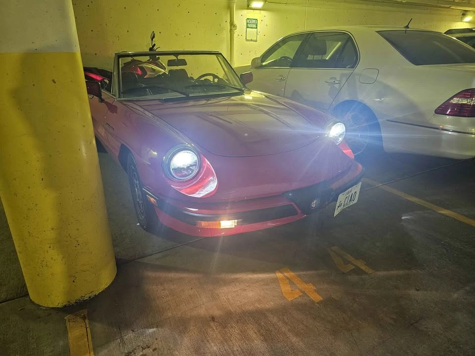 1985 Alfa Romeo Series 3 - Image 15 of 17