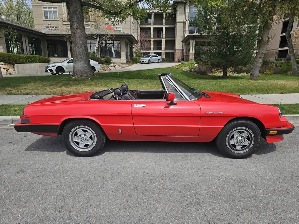 1985 Alfa Romeo Series 3 - Image 13 of 17