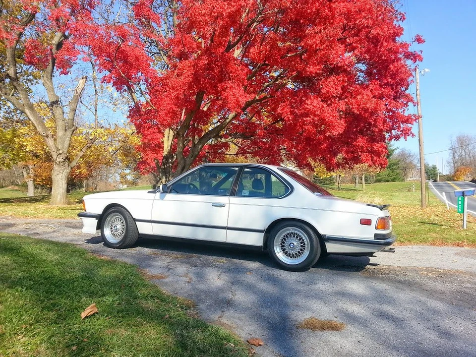 1985 BMW E24 M635CSi & M6 - Image 4 of 31