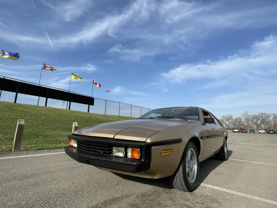 1985 Bitter - Image 5 of 31