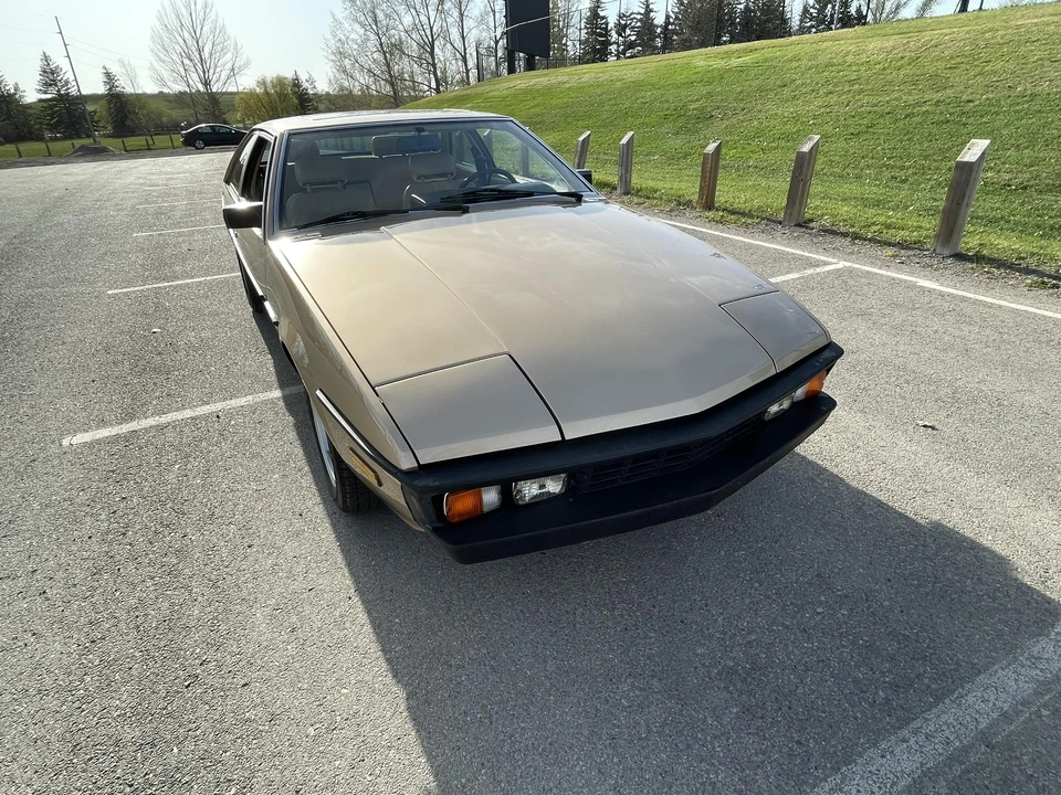1985 Bitter - Image 21 of 31