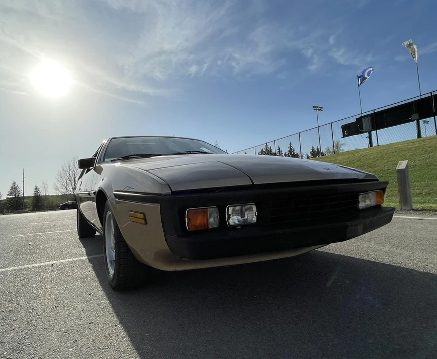 1985 Bitter - Image 20 of 31