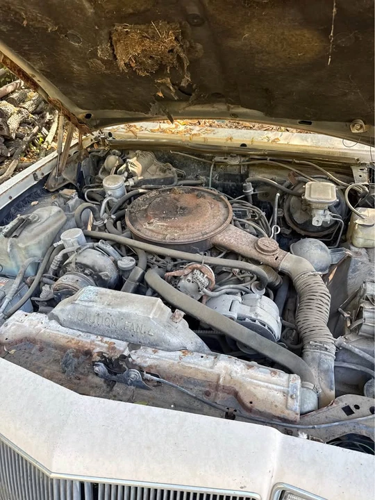 1985 Buick Riviera 4th-7th Gen - Image 4 of 13