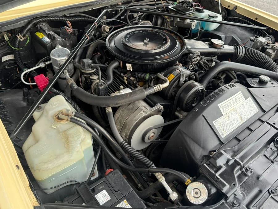 1985 Cadillac Eldorado 10th Gen - Image 12 of 12