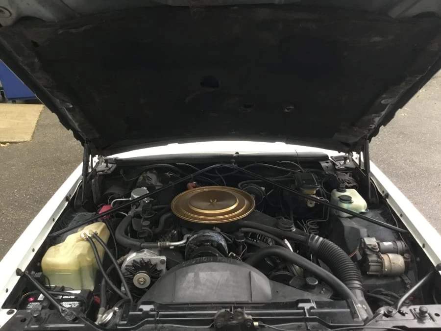 1985 Cadillac Eldorado 10th Gen - Image 11 of 12