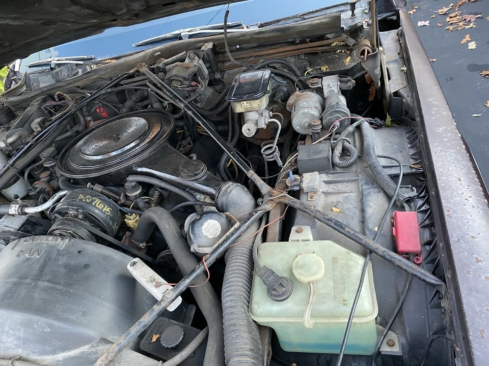 1985 Cadillac Brougham - Image 13 of 13