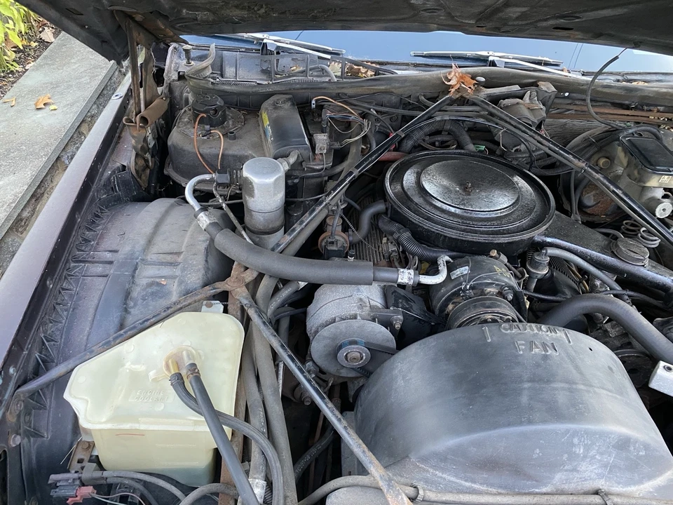 1985 Cadillac Brougham - Image 12 of 13