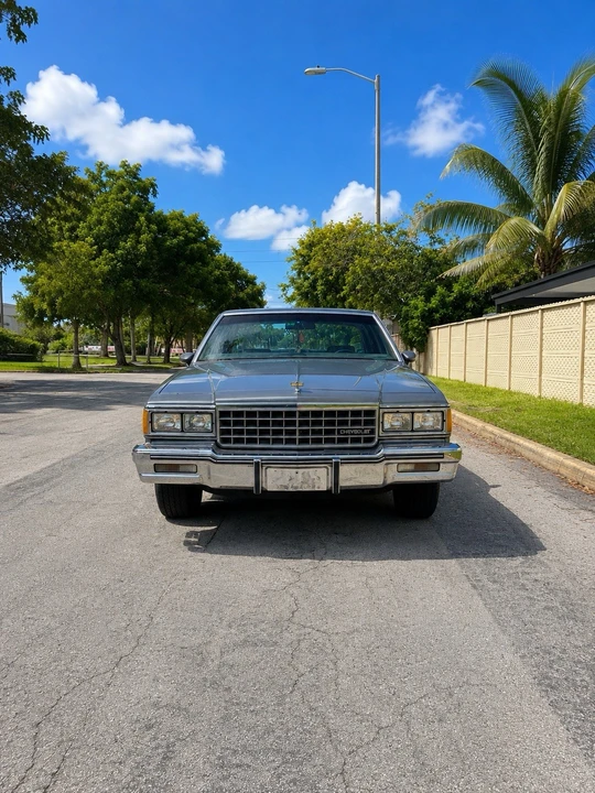 1985 Chevrolet Caprice - Image 3 of 18