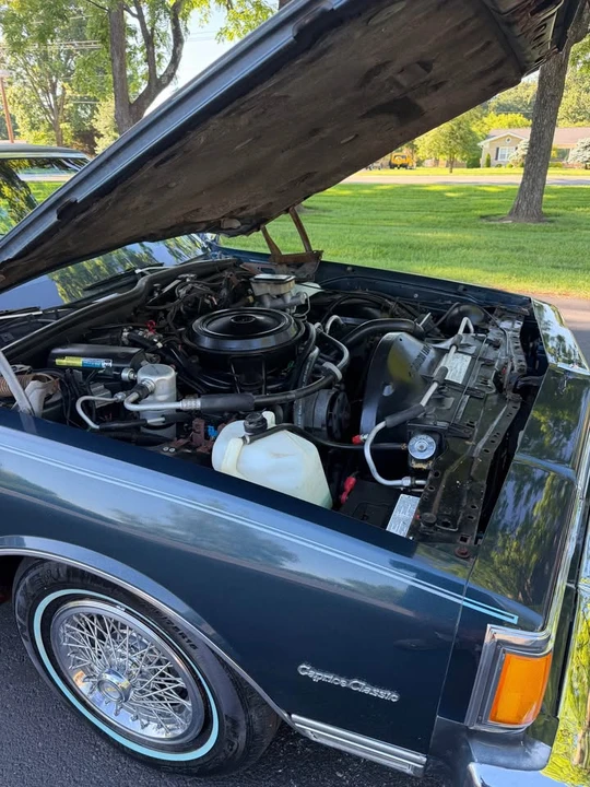 1985 Chevrolet Caprice - Image 17 of 20
