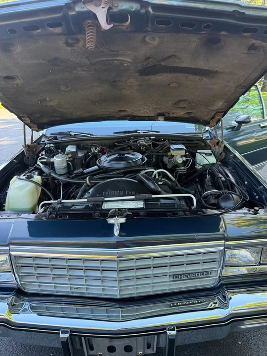 1985 Chevrolet Caprice - Image 15 of 20