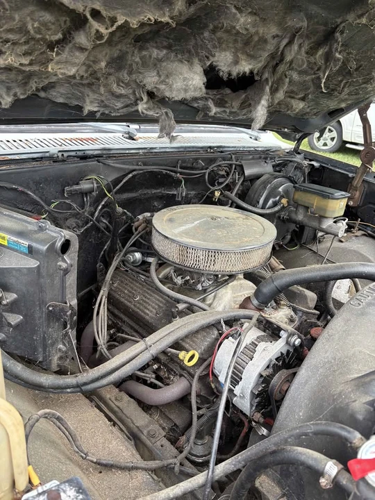 1985 Chevrolet C/K 3rd Gen - Image 3 of 7