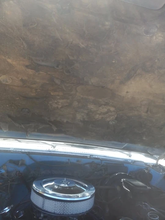 1985 Chevrolet Silverado - Image 12 of 20