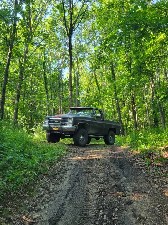 1985 Chevrolet Blazer - Image 8 of 8