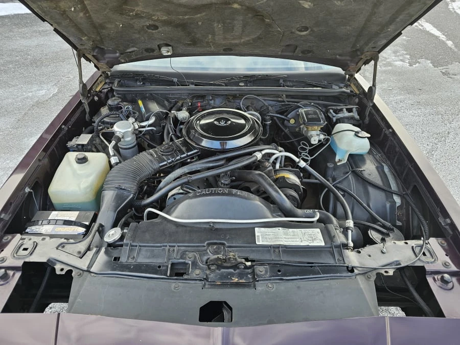 1985 Chevrolet Monte Carlo 3rd Gen - Image 9 of 9