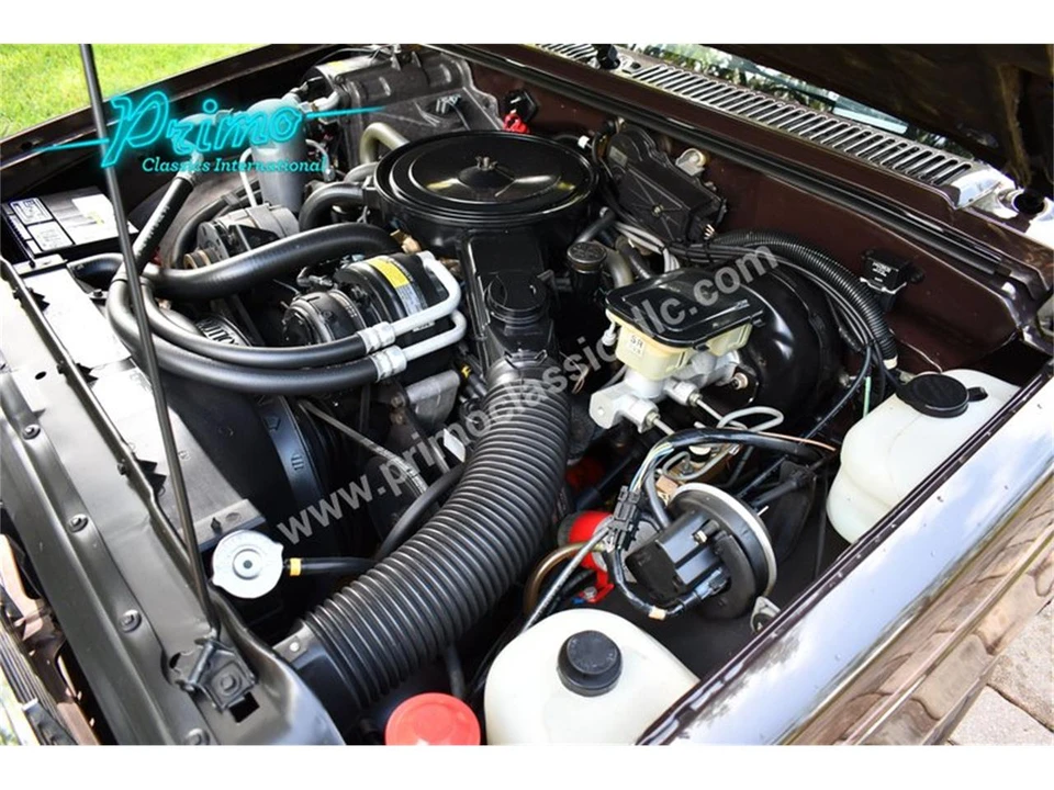 1985 Chevrolet S-10 - Image 22 of 31