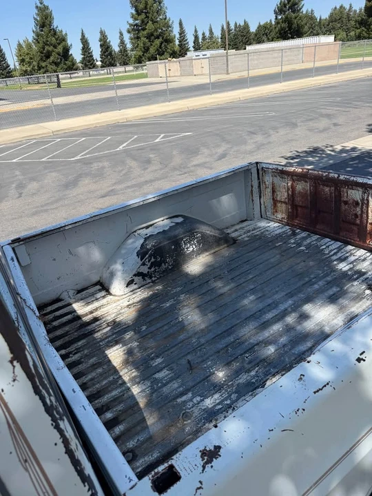 1985 Chevrolet C/K 3rd Gen - Image 8 of 9